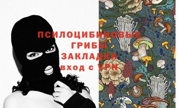 дживик Баксан