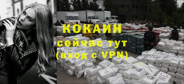 дживик Баксан