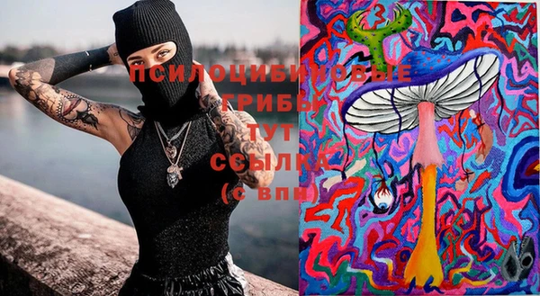 дживик Баксан
