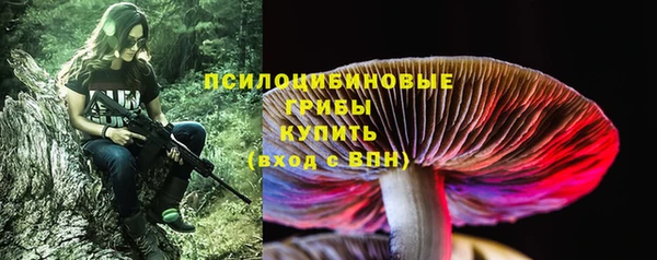 дживик Баксан